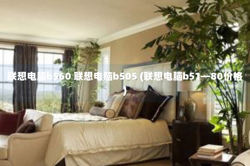 联想电脑b560 联想电脑b505 (联想电脑b51—80价格)