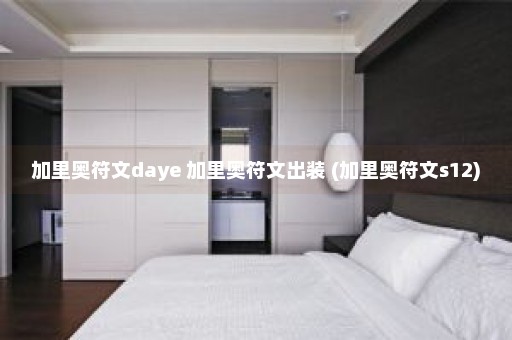 加里奥符文daye 加里奥符文出装 (加里奥符文s12)