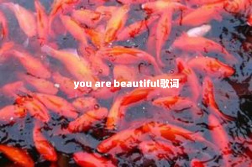 you are beautiful歌词