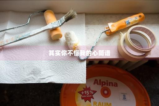 其实你不懂我的心简谱