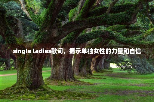 single ladies歌词，揭示单独女性的力量和自信