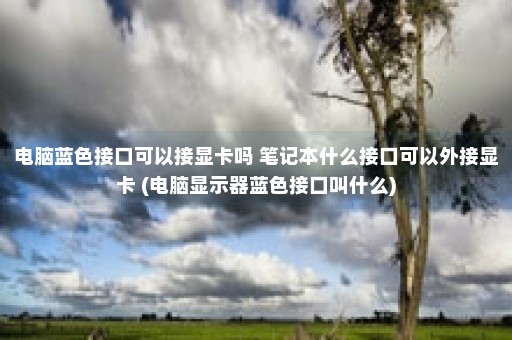 电脑蓝色接口可以接显卡吗 笔记本什么接口可以外接显卡 (电脑显示器蓝色接口叫什么)