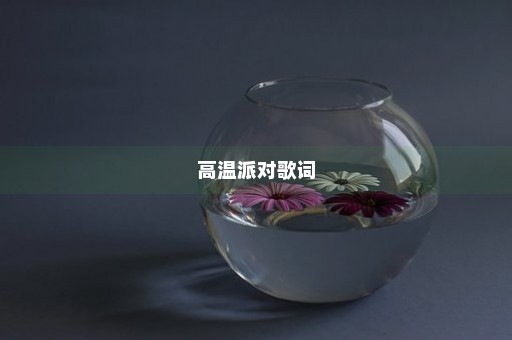 高温派对歌词