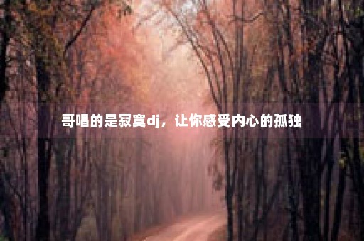 哥唱的是寂寞dj，让你感受内心的孤独