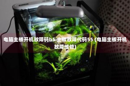 电脑主板开机故障码b5 主板故障代码55 (电脑主板开机故障维修)