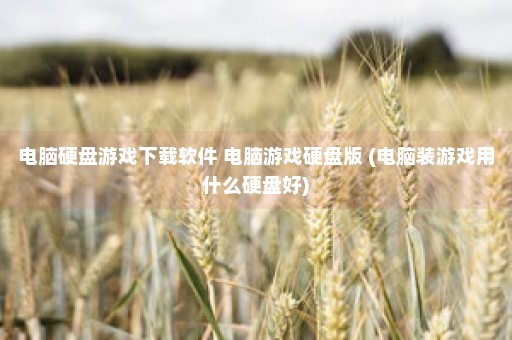 电脑硬盘游戏下载软件 电脑游戏硬盘版 (电脑装游戏用什么硬盘好)