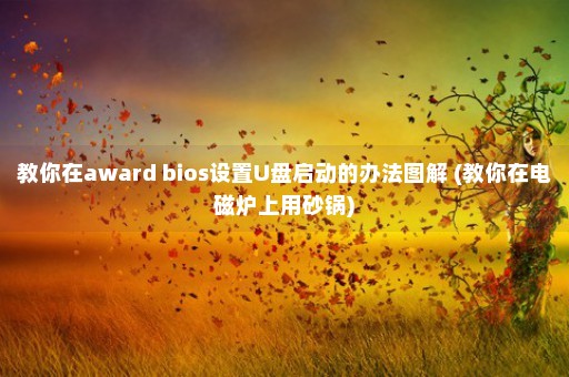 教你在award bios设置U盘启动的办法图解 (教你在电磁炉上用砂锅)