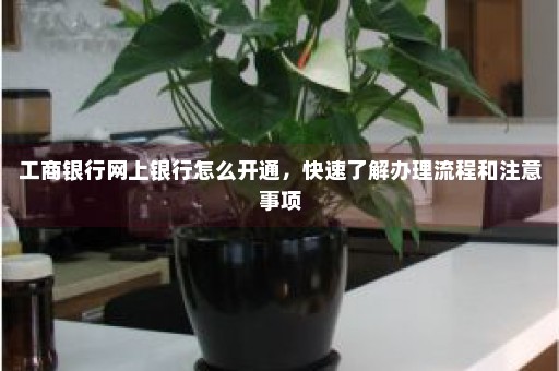 工商银行网上银行怎么开通，快速了解办理流程和注意事项