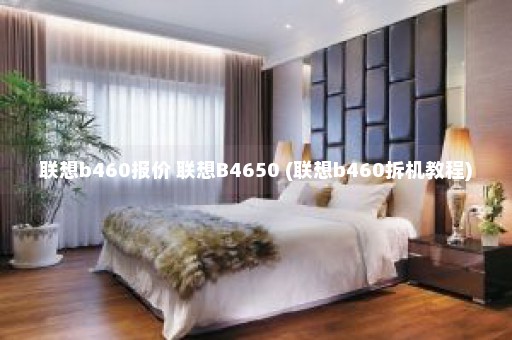 联想b460报价 联想B4650 (联想b460拆机教程)