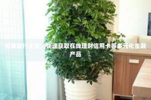 招商银行主页，快速获取在线理财信用卡等多元化金融产品