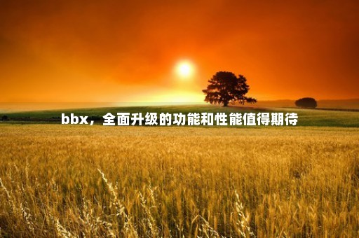 bbx，全面升级的功能和性能值得期待