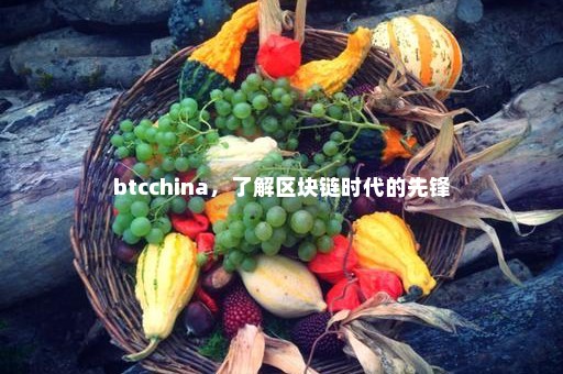 btcchina，了解区块链时代的先锋