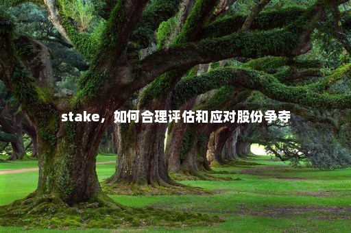 stake，如何合理评估和应对股份争夺