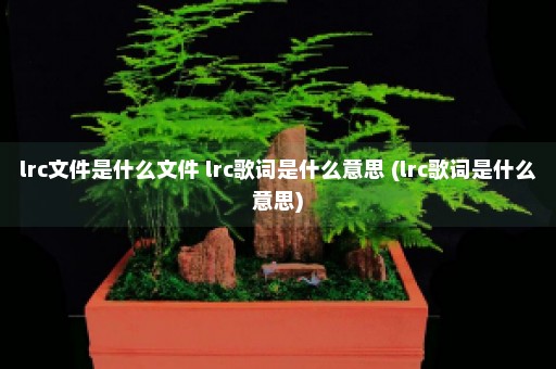 lrc文件是什么文件 lrc歌词是什么意思 (lrc歌词是什么意思)