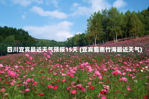 四川宜宾最近天气预报15天 (宜宾蜀南竹海最近天气)