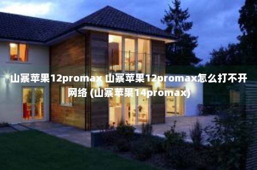 山寨苹果12promax 山寨苹果12promax怎么打不开网络 (山寨苹果14promax)