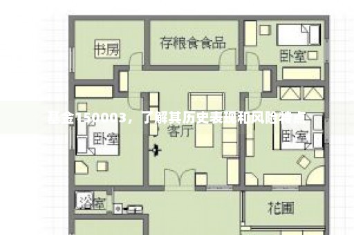 基金150003，了解其历史表现和风险特点