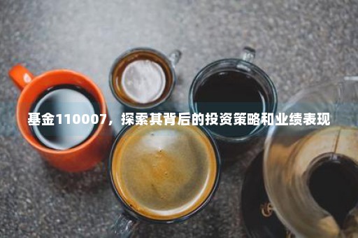 基金110007，探索其背后的投资策略和业绩表现