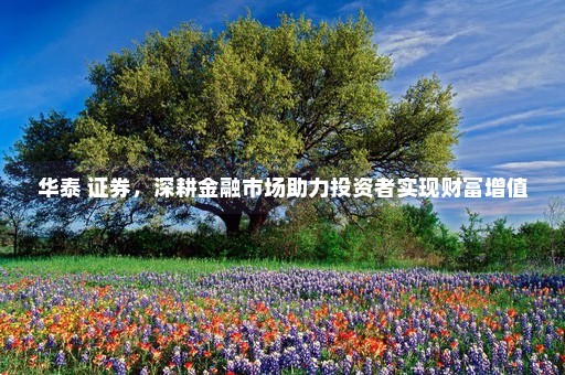 华泰 证券，深耕金融市场助力投资者实现财富增值