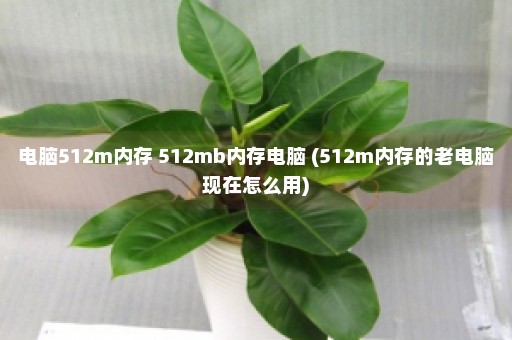 电脑512m内存 512mb内存电脑 (512m内存的老电脑现在怎么用)