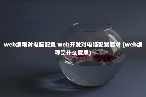 web编程对电脑配置 web开发对电脑配置要求 (web编程是什么意思)