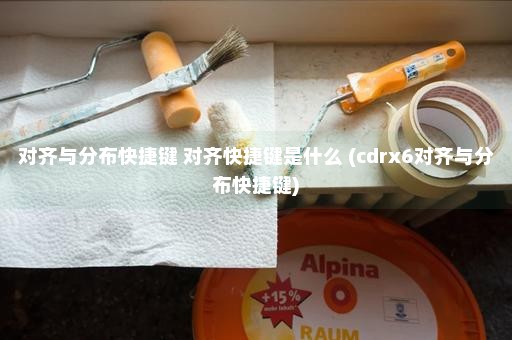 对齐与分布快捷键 对齐快捷键是什么 (cdrx6对齐与分布快捷键)