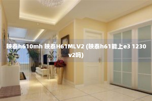 映泰h610mh 映泰H61MLV2 (映泰h61能上e3 1230v2吗)