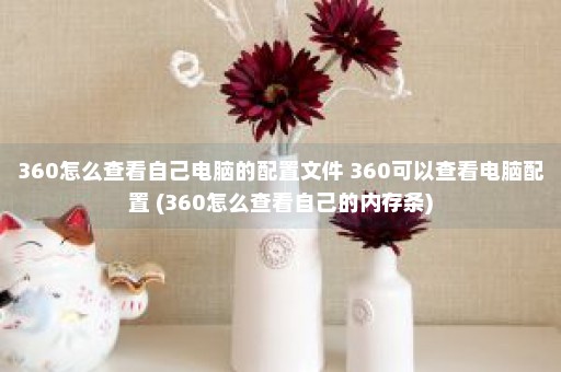 360怎么查看自己电脑的配置文件 360可以查看电脑配置 (360怎么查看自己的内存条)