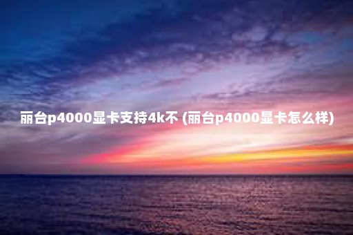 丽台p4000显卡支持4k不 (丽台p4000显卡怎么样)