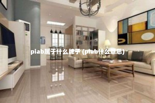 piab属于什么牌子 (piab什么意思)