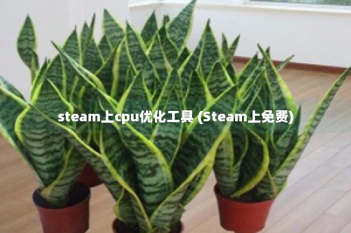 steam上cpu优化工具 (Steam上免费)