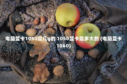 电脑显卡1050是几g的 1050显卡是多大的 (电脑显卡1060)