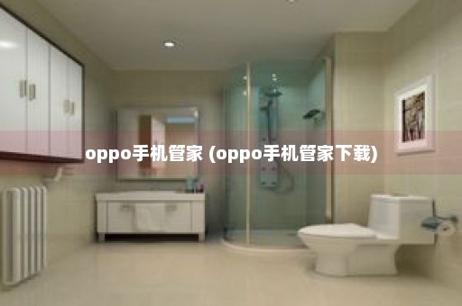 oppo手机管家 (oppo手机管家下载)