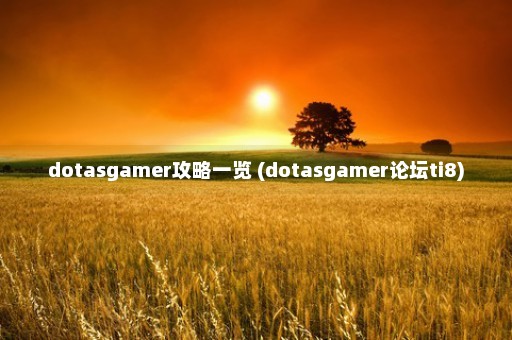 dotasgamer攻略一览 (dotasgamer论坛ti8)