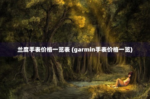 兰度手表价格一览表 (garmin手表价格一览)