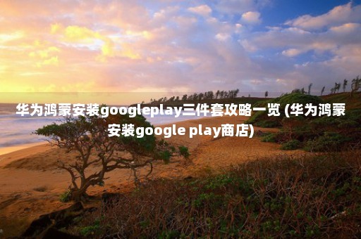 华为鸿蒙安装googleplay三件套攻略一览 (华为鸿蒙安装google play商店)