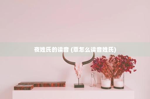 夜姓氏的读音 (覃怎么读音姓氏)