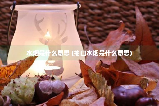 水烟是什么意思 (抽口水烟是什么意思)