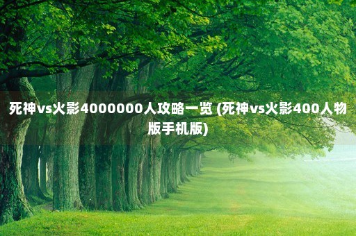 死神vs火影4000000人攻略一览 (死神vs火影400人物版手机版)