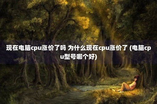 现在电脑cpu涨价了吗 为什么现在cpu涨价了 (电脑cpu型号哪个好)