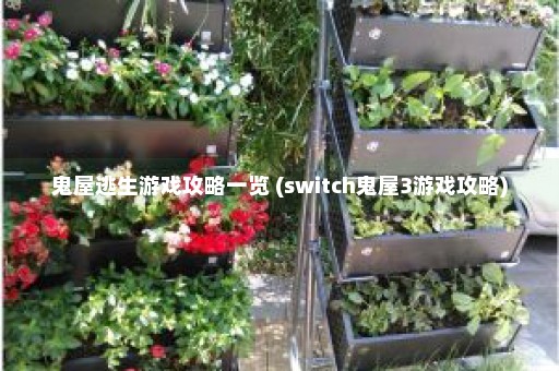 鬼屋逃生游戏攻略一览 (switch鬼屋3游戏攻略)