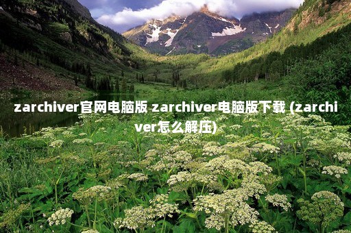 zarchiver官网电脑版 zarchiver电脑版下载 (zarchiver怎么解压)