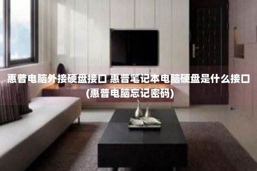 惠普电脑外接硬盘接口 惠普笔记本电脑硬盘是什么接口 (惠普电脑忘记密码)