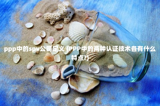 ppp中的spv公司定义 (PPP中的两种认证技术各有什么特点?)