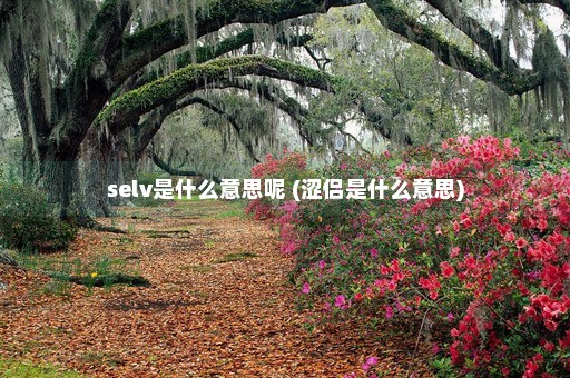 selv是什么意思呢 (涩侣是什么意思)