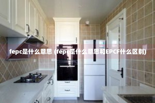 fepc是什么意思 (fepc是什么意思和EPCF什么区别)