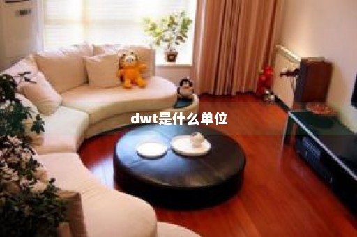 dwt是什么单位