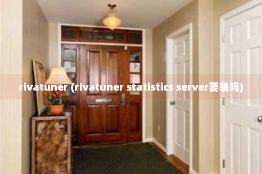 rivatuner (rivatuner statistics server要装吗)