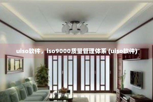 uiso软件，iso9000质量管理体系 (uiso软件)