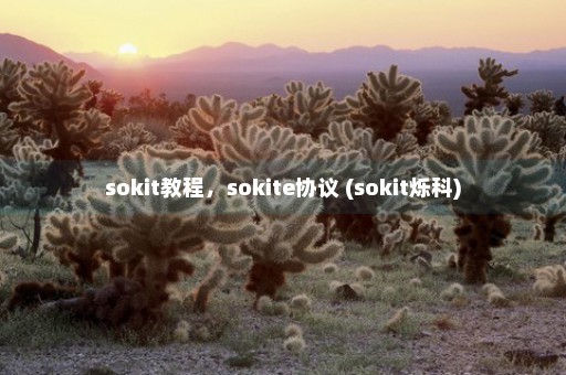 sokit教程，sokite协议 (sokit烁科)